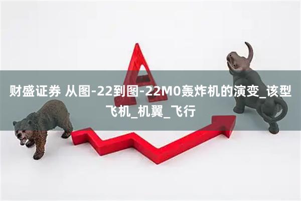 财盛证券 从图-22到图-22M0轰炸机的演变_该型飞机_机翼_飞行