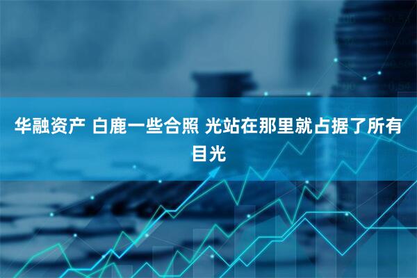 华融资产 白鹿一些合照 光站在那里就占据了所有目光