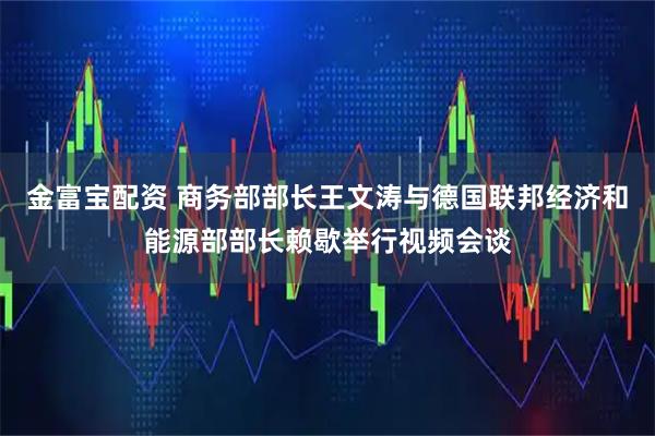金富宝配资 商务部部长王文涛与德国联邦经济和能源部部长赖歇举行视频会谈