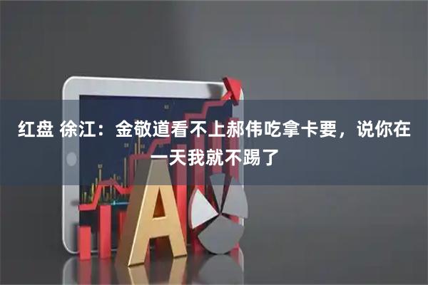 红盘 徐江：金敬道看不上郝伟吃拿卡要，说你在一天我就不踢了
