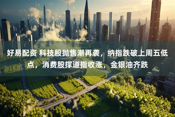 好易配资 科技股抛售潮再袭，纳指跌破上周五低点，消费股撑道指收涨，金银油齐跌