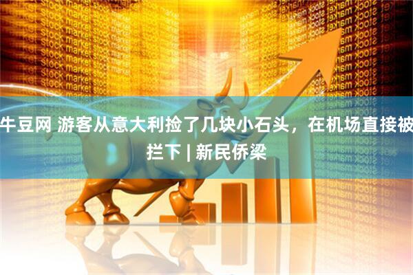 牛豆网 游客从意大利捡了几块小石头，在机场直接被拦下 | 新民侨梁