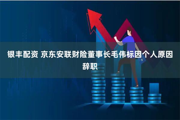 银丰配资 京东安联财险董事长毛伟标因个人原因辞职